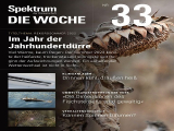 : Spektrum der Wissenschaft Die Woche Magazin Nr 33 vom 18 August 2022