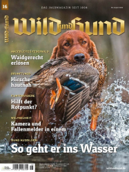 : Wild und Hund - 18. August 2022