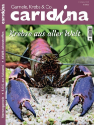 : Caridina Magazin Nr 3 2022