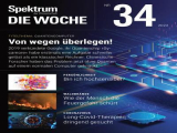 :  Spektrum der Wissenschaft Die Woche Magazin August No 34 2022