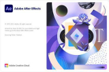 : Adobe After Effects 2022 v22.6.0.64 (x64)