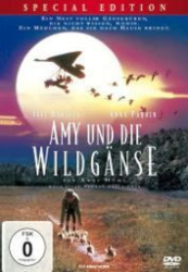 : Amy und die Wildgänse 1996 German 1040p AC3 microHD x264 - RAIST