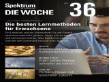 :  Spektrum der Wissenschaft Die Woche Magazin September No 36 2022