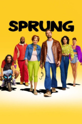 : Sprung S01E09 German Dl 720p Web h264-WvF