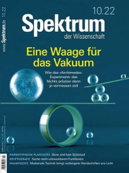 : Spektrum der Wissenschaft Magazin No 10 Oktober 2022
