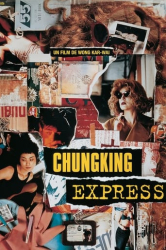 : Chungking Express 1994 German DTSHD DL 2160p UHD BluRay DV HDR HEVC Remux-NIMA4K