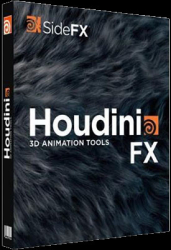 : SideFX Houdini v19.5.368