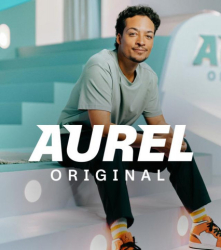 : Aurel Original S01E02 Work hard die hard Warum wir uns kaputt arbeiten German 720p WebHd h264-Wys