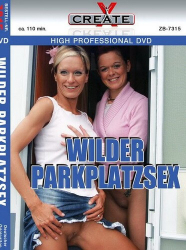 : Wilder Parkplatzsex