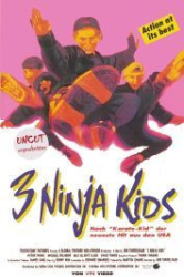 : 3 Ninja Kids 1992 German 1040p AC3 microHD x264 - RAIST