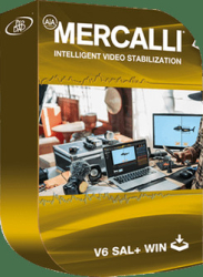 : proDAD Mercalli V6 SAL 6.0.622.2 (x64)