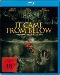 : It Came from Below 2021 German Dl 1080p BluRay x264-Savastanos