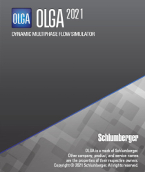 : Schlumberger OLGA 2021.2