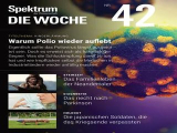 :  Spektrum der Wissenschaft Die Woche Magazin Oktober No 42 2022