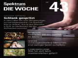 : Spektrum der Wissenschaft Die Woche Magazin Nr 43 Oktober 2022