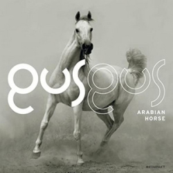 : GusGus - Discography 1995-2021 FLAC