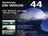 :  Spektrum Die Woche Magazin No 44 2022