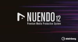 : Steinberg Nuendo v12.0.50