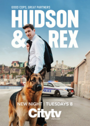 : Hudson and Rex S04E03 German 720P Web X264-Wayne