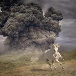 : The White Buffalo - Year Of The Dark Horse (2022)