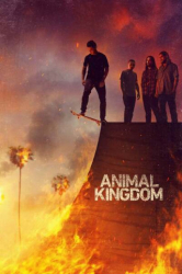 : Animal Kingdom S06E09 German 1080p Web x264-WvF