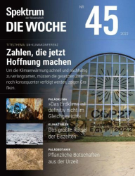 : Spektrum der Wissenschaft Die Woche November No 45 2022
