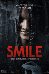 : Smile 2022 German Ac3 Ld Webrip x264-4Wd