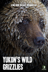 : Der Berg der Baeren Yukons Grizzlys 2021 German Doku 720p Hdtv x264-Tmsf