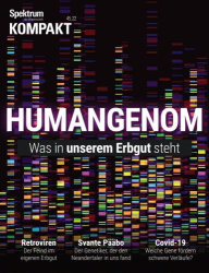 : Spektrum der Wissenschaft Kompakt Magazin No 45 2022
