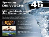 :  Spektrum der Wissenschaft Die Woche Magazi No 46 2022