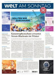 :  Die Welt am Sonntag (Frühausgabe) vom 19 November 2022