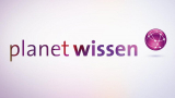 : Planet Wissen - Medizin und Geschlecht So unterscheiden sich Symptome und Therapien German Doku 720p Web x264-Tvknow
