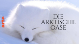 : Die arktische Oase German Doku Ws Hdtvrip x264-Pumuck
