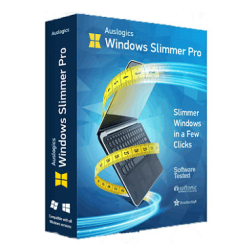 : Auslogics Windows Slimmer Professional 4.0.0.1 + Portable