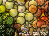 : Mosaizer XV v16.0.1.8