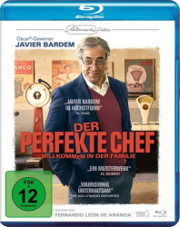 : Der perfekte Chef 2021 German Bdrip x264-DetaiLs