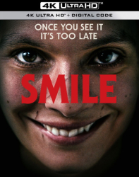 : Smile Siehst du es auch 2022 German 1080p Dl Ac3 BluRay Avc Remux-pmHd