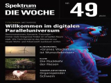 :  Spektrum der Wissenschaft - Die Woche No 49 2022