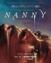 : Nanny 2022 German DL 1080p WEB x264 - FSX