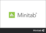 : Minitab v21.3.1