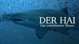 : Der Hai - Das unbekannte Wesen German Doku 720p Hdtv x264-Pumuck