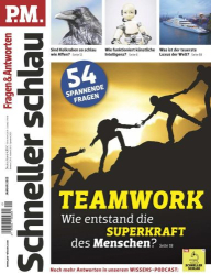 : P M  Fragen und Antworten Magazin Januar No 01 2023
