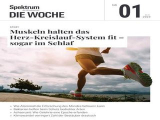 :  Spektrum der Wissenschaft Die Woche Magazin No 01 2023