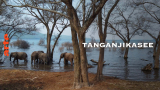 : Tanganjikasee - Das blaue Herz Afrikas German Doku 720p Hdtv x264-Pumuck