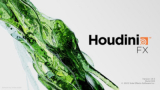 : SideFX Houdini FX v19.5.435 (x64)