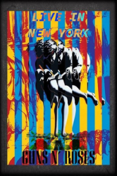 : Guns N Roses Live in New York 1991 720p MbluRay x264-403