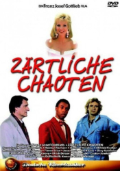 : Zaertliche Chaoten 1987 German 1080p WebriP x264-Law