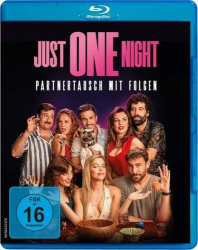 : Just One Night Partnertausch mit Folgen 2022 German 1080p BluRay x264 - FSX