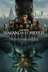 : Black Panther Wakanda Forever 2022 German Dubbed BDRip x264 - FSX