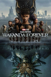 : Black Panther Wakanda Forever 2022 1080p BluRay x264 Dts-Mt